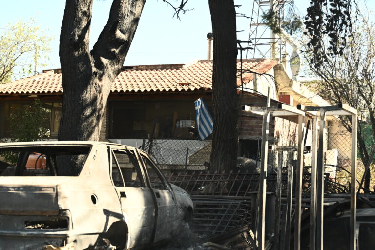 Ξενοδοχειακό Επιμελητήριο Ελλάδος: Αποτελεσματικά λειτούργησε η ειδική πλατφόρμα του για τους πυρόπληκτους στην Αττική