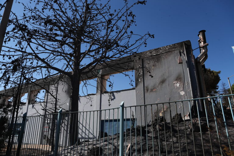 Πλιάτσικο στα καμμένα της βορειοανατολικής Αττικής: Δέκα προσαγωγές και μία σύλληψη