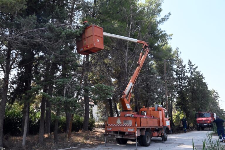 Πυροσβεστική: 44 πυρκαγιές σε όλη τη χώρα το τελευταίο 24ωρο – Οι 10 από κεραυνούς