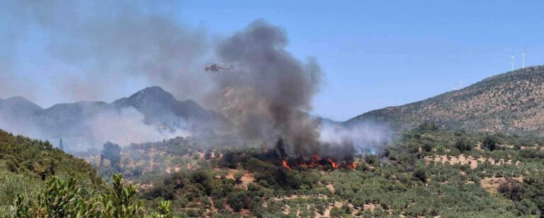 Πυρκαγιά σε αγροτοδασική έκταση στη Μεταξάδα Μεσσηνίας