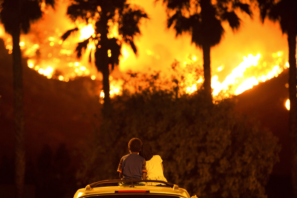 Pictures Of The Week Photo Gallery