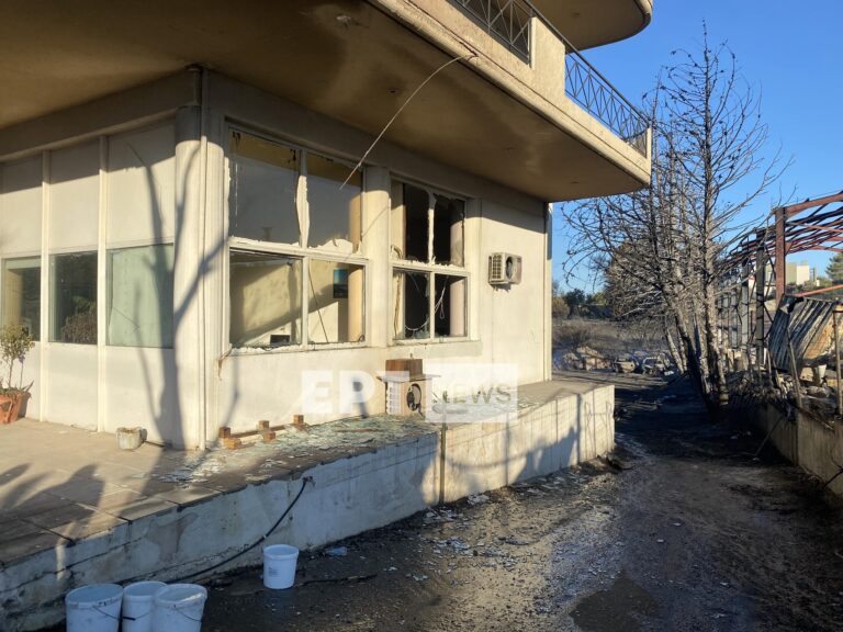 Φωτιά στη ΒΑ Αττική – Γέρακας: Ζημιές σε επιχειρήσεις, σπίτια, αυτοκίνητα και το Δασαρχείο