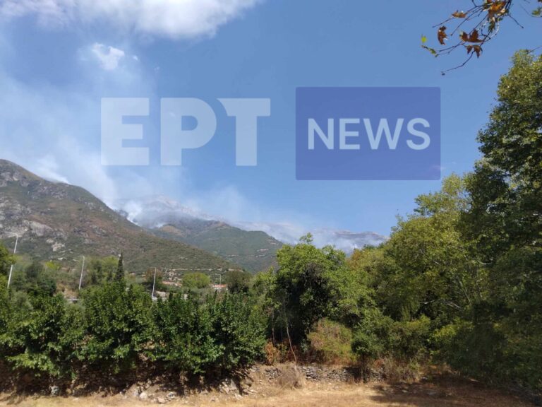 Παγγαίο: Για έβδομη μαίνεται η πυρκαγιά σε δύσβατες περιοχές του Παγγαίου μακριά από κατοικημένες περιοχές