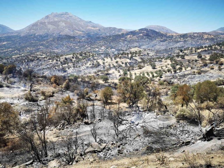 Σε κατάσταση έκτακτης ανάγκης κηρύχθηκαν και οι Δημοτικές Κοινότητες Νίθαυρης και Πλατάνου του Δήμου Αμαρίου