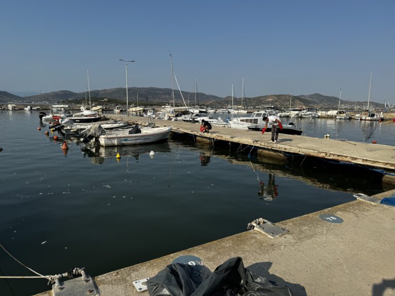 Βόλος: Ο ΟΛΒ καταγγέλλει «στοχοποίηση και ενοχοποίησή του» για το πρόβλημα με τα νεκρά ψάρια