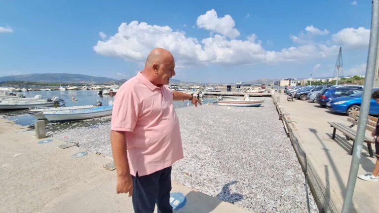 Να κάνουν αγωγές κατά παντός υπευθύνου για τα νεκρά ψάρια καλεί τους επαγγελματίες και επιχειρηματίες ο δήμαρχος Βόλου