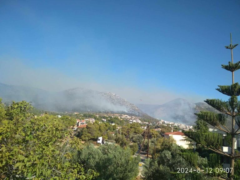 Νέα Μάκρη: Αντιμετωπίστηκαν οι εστίες πλησίον του οικισμού Ανατολή