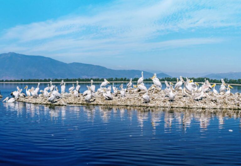 Λίμνη Κερκίνη: 1ο Lakedam Festival