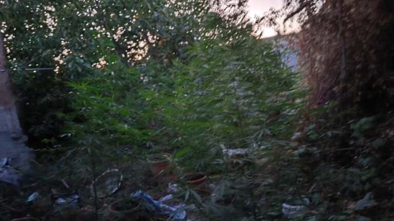 Ρέθυμνο: Επιχείρηση και συλλήψεις της αστυνομίας στα Λιβάδια Μυλοποτάμου – Επεισόδια με τους κατοίκους