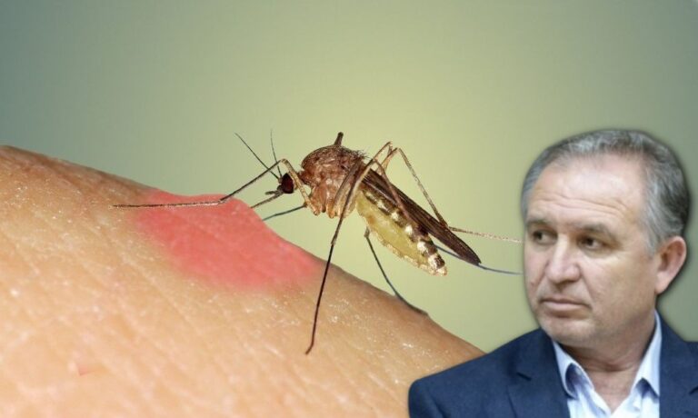 Ορεστιάδα – Κ. Βενετίδης: Ενδεχομένως διανύουμε την χρονιά επιδημίας ιού του Δυτικού Νείλου