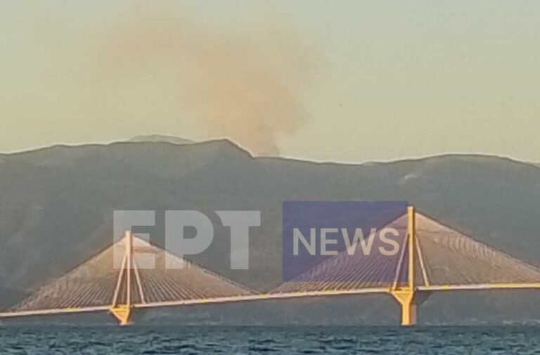 Πυρκαγιά σε δασική έκταση στον Παλαιόπυργο της oρεινής Ναυπακτίας (φωτό -βίντεο)