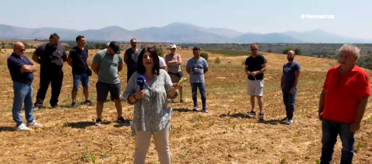 Νεάπολη Κοζάνης: Απελπισμένοι οι αγρότες από την καταστροφή των καλλιεργειών τους λόγω καύσωνα