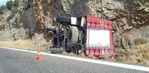 Εύβοια: Απανθρακωμένο άγριο πτηνό οδηγεί στα αίτια της φωτιάς – Ελαφρά τραυματίας ο οδηγός πυροσβεστικού οχήματος που ανατράπηκε