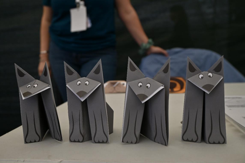 Διήμερο δράσεων στις 5 και 6 Αυγούστου στη Ραψάνη