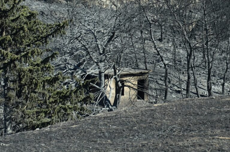 Ρύθμιση και αναστολή πληρωμής ασφαλιστικών εισφορών για πληγέντες από τις πυρκαγιές