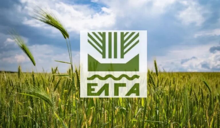 ΕΛΓΑ: Σε διαβούλευση το σχέδιο χαλαζικής προστασίας με εναέρια μέσα