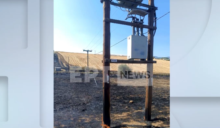 Φωτιά στην Εύβοια: Φωτογραφίες του EΡTNews από το σημείο που ξεκίνησε – Άγριο πτηνό εξετάζεται ως ο «ένοχος»