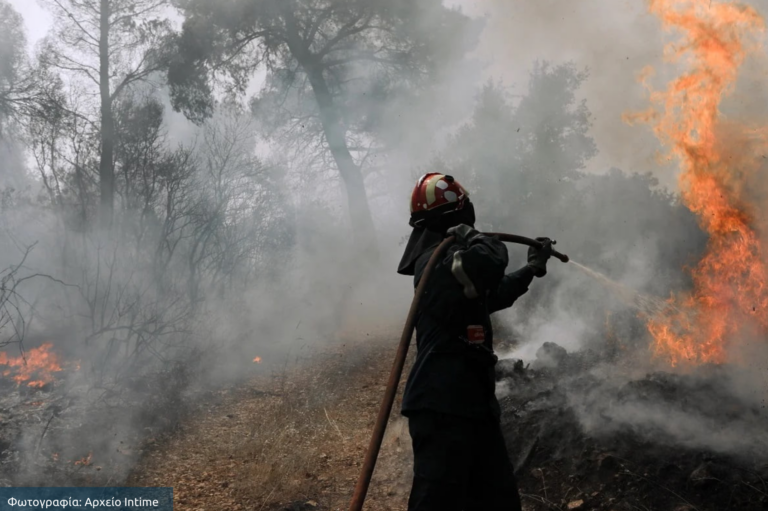 Χαλκιδική: Φωτιά στην Καλλικράτεια τέθηκε άμεσα υπό έλεγχο