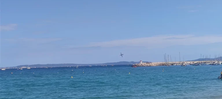Γαλλία: Συντριβή αεροπλάνου κατά τη διάρκεια επίδειξης – Νεκρός ο πιλότος