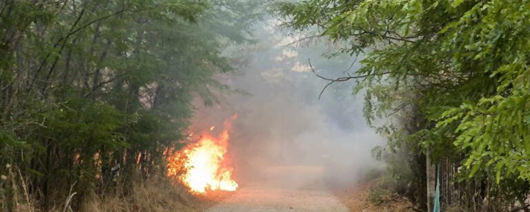 Μικρής έκτασης φωτιές από κεραυνό σε Γορτυνία και Αρκαδία