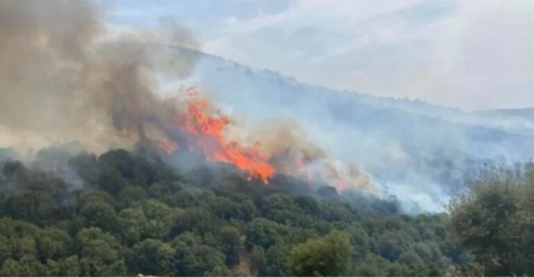 Πυροσβεστική: 31 αγροτοδασικές πυρκαγιές το τελευταίο 24ωρο σε όλη τη χώρα