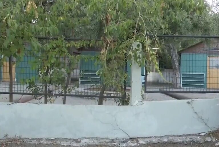 Πνιγμός 8χρονης στη Χαλκιδική: Οι γονείς ενημερώθηκαν να πάρουν τα παιδιά τους μετά την ανάκληση της άδειας λειτουργίας της κατασκήνωσης