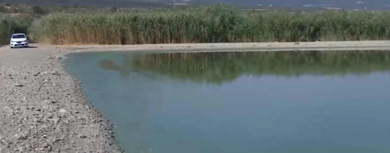 Λίμνη Κορώνεια: Η κλιματική αλλαγή την μετέτρεψε σε βάλτο- Φόβοι ότι θα αποξηραθεί