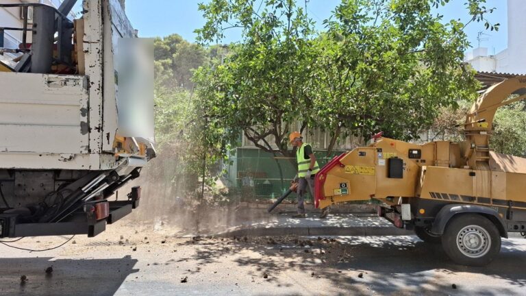 Ηράκλειο: Μηνύσεις και συλλήψεις για τις κοπές δέντρων
