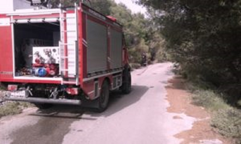 Ζάκυνθος: Φωτιά στην περιοχή Κοιλιωμένος