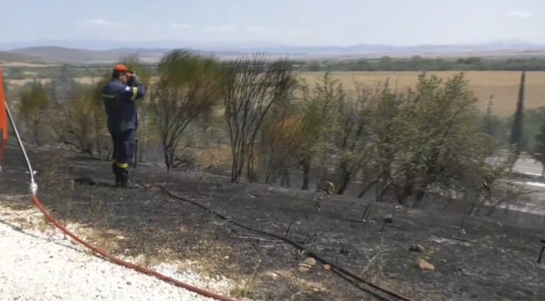 Υπό μερικό έλεγχο η φωτιά σε χαμηλή βλάστηση κοντά στο Πολύκαστρο Κιλκίς