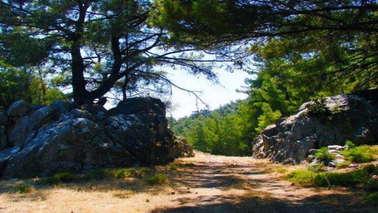 Ρόδος: Νεκρός 66χρονος εργάτης που καταπλακώθηκε από βράχο