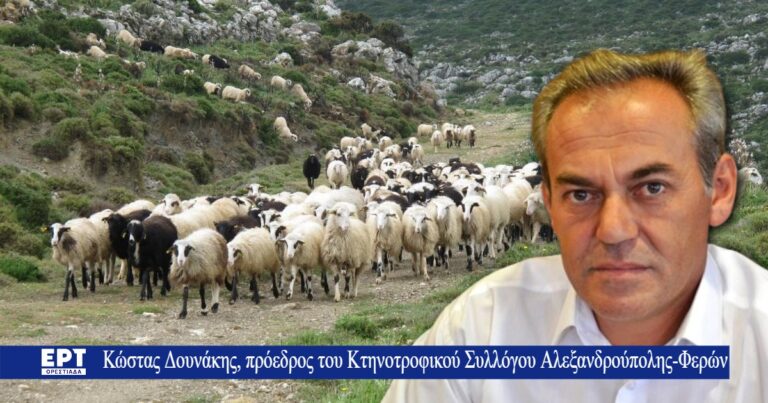 Ορεστιάδα: Άμεση στήριξη των πληγέντων κτηνοτρόφων ζήτησαν από τον αρμόδιο Υφυπουργό τα μέλη του Συλλόγου Κτηνοτρόφων