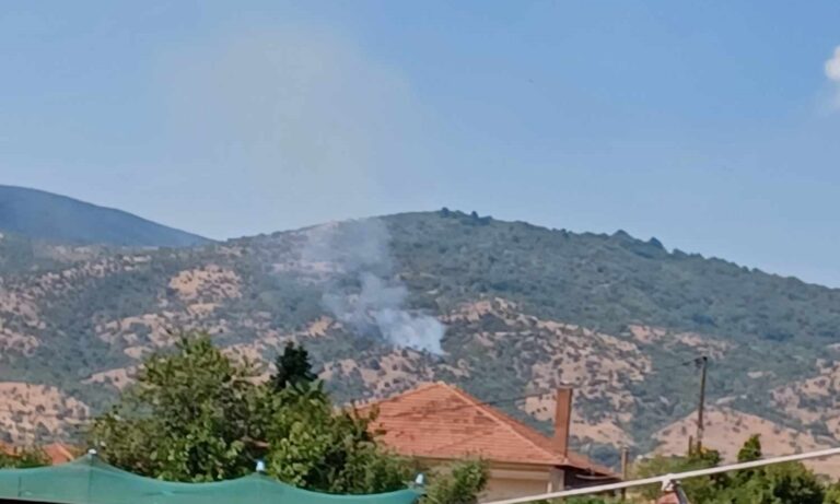 Πτολεμαΐδα: Περιορίστηκε η πυρκαγιά στην Κρυόβρυση – Παραμένουν στην περιοχή δυνάμεις πυρόσβεσης (βίντεο)