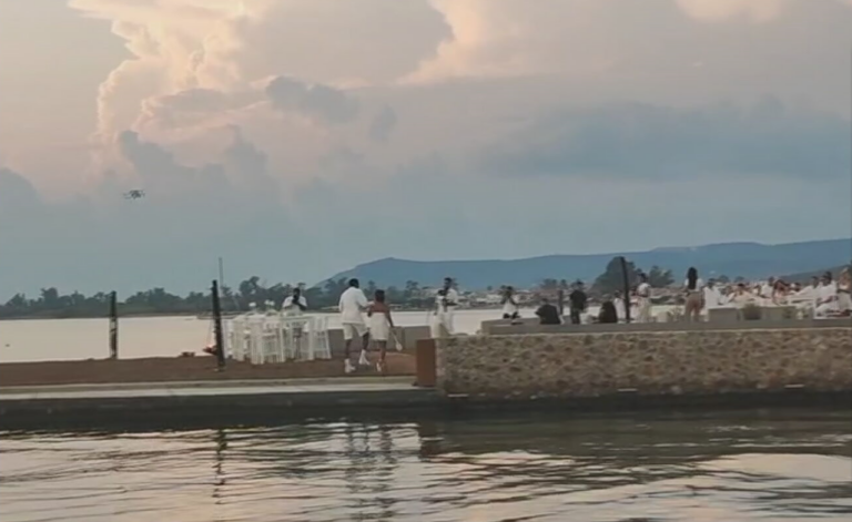 Γάμος Γιάννη Αντετοκούνμπο: Μετά τη βραδιά στα λευκά το “Nigerian Party” (video)