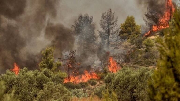 Υψηλός κίνδυνος εκδήλωσης πυρκαγιάς σήμερα στη Χαλκιδική