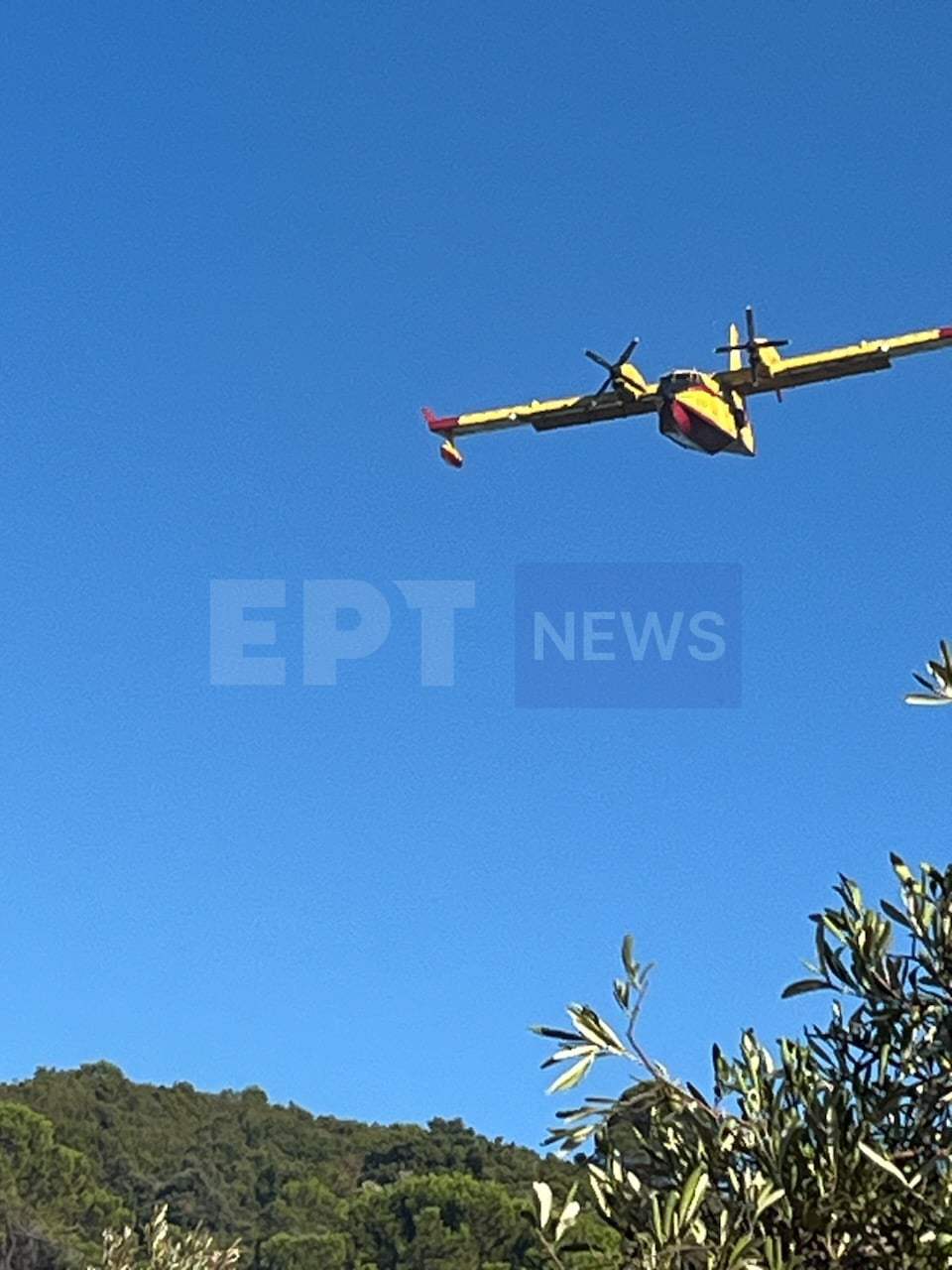 Πυρκαγιά σε χαμηλή βλάστηση στο Λεσίνι Αιτωλοακαρνανίας – Οριοθετήθηκε άμεσα
