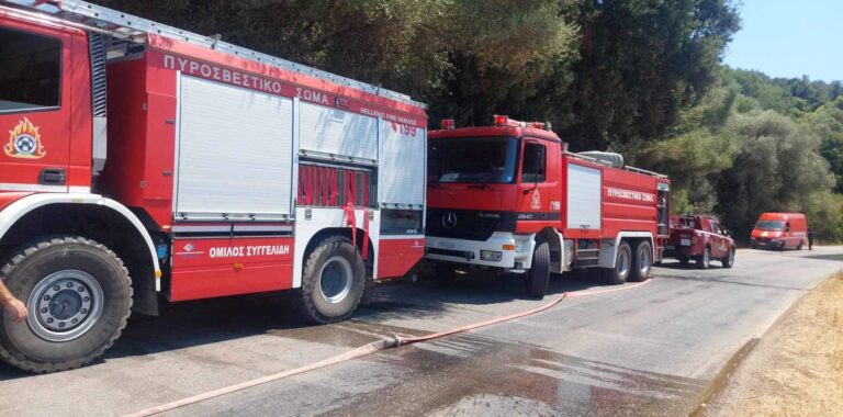 Πυρκαγιά σε δασώδη περιοχή στο Νότιο Πήλιο – Ήχησε το 112 για ετοιμότητα