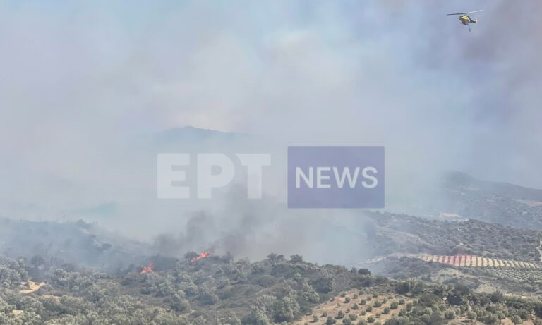 Εκκενώθηκαν 8 οικισμοί στο νότιο Ρέθυμνο, όπου μαίνεται για δεύτερη μέρα η  πυρκαγιά – Επί τόπου μεταβαίνει ο Β. Κικίλιας – Ενισχύονται οι δυνάμεις πυρόσβεσης (βίντεο)