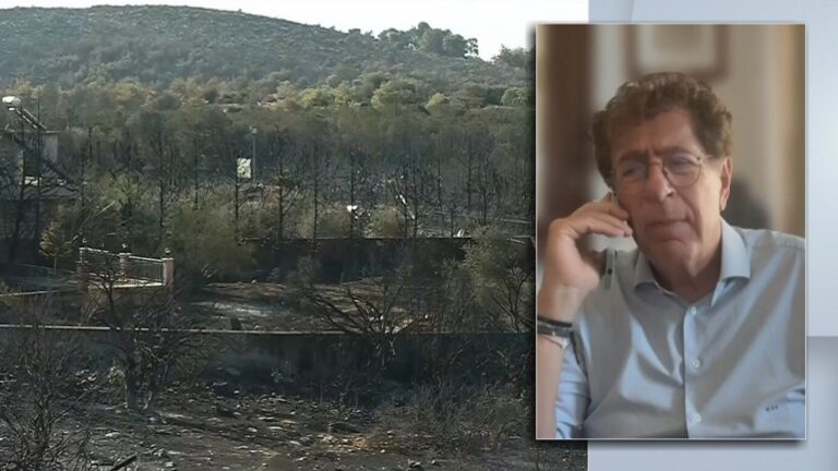 Κ. Συνολάκης στο ΕΡΤNews: Χρειάζονται διαφορετική διαχείριση τα δάση μας – Αν δεν υπήρχε το 112 θα είχαμε περισσότερα θύματα