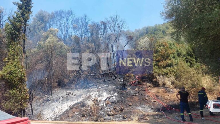 Θεσπρωτία: Οριοθετήθηκε η φωτιά στο Ράγιο –  80 πυροσβέστες με 15 οχήματα στο πύρινο μέτωπο της Αττικής (βίντεο)