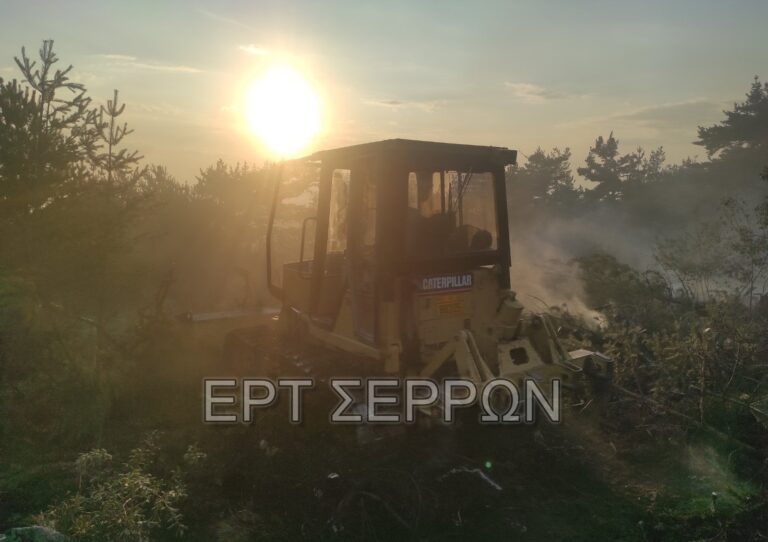 Σέρρες: Σε επαγρύπνηση οι δυνάμεις της πυροσβεστικής στον Λαϊλιά (βίντεο)
