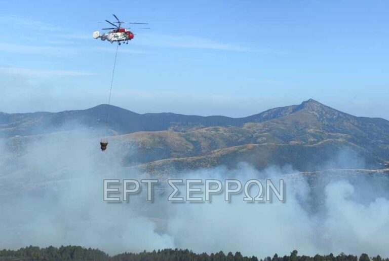 Φωτιά στο Μενοίκιο Όρος: Από το πρωί επιχειρούν εναέρια μέσα -Πέντε φωτιές σε μια μέρα στις Σέρρες (φωτογραφίες και βίντεο)