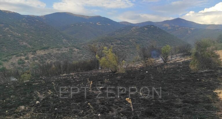 Σέρρες: Άμεση η επέμβαση της πυροσβεστικής σε φωτιά στο Κάτω Χριστός
