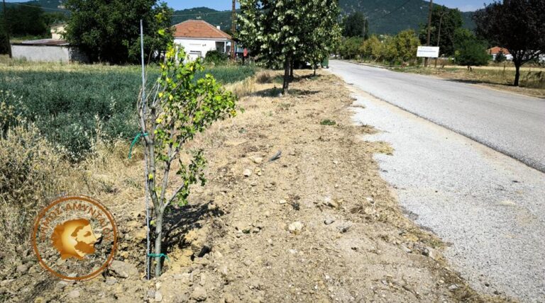 Αμύνταιο: Καθαρισμός, δεντροφύτευση και εγκατάσταση υπόγειου ποτίσματος σε περιοχές του Δήμου