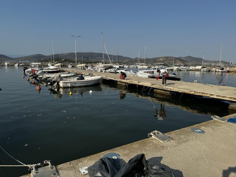 Βόλος: Μηνύσεις και αγωγές διερευνά ο κλάδος της εστίασης για το θέμα των νεκρών ψαριών
