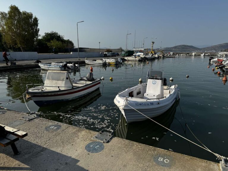 Δήμος Νοτίου Πηλίου: Ομόφωνο ψήφισμα στήριξης επαγγελματιών μετά τη ρύπανση του Παγασητικού