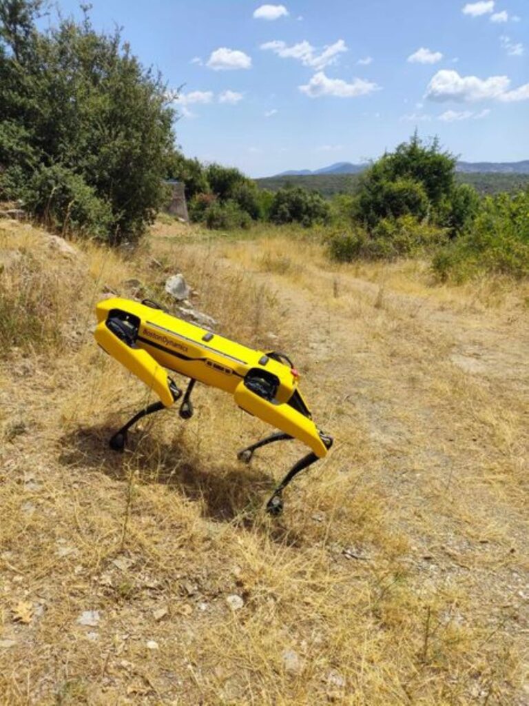 Καβάλα: Παρακολούθηση δασών με τεχνολογία αιχμής στο Δάσος της Λιμνιάς