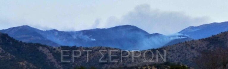 Σέρρες: Μηνυτήρια αναφορά για την πυρκαγιά στον Όρβηλο κατέθεσαν Σερραίοι πολίτες