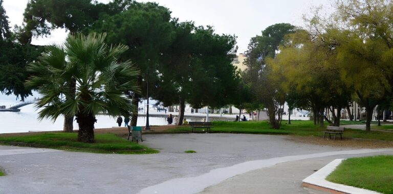 H έλλειψη πρασίνου στο Δημοτικό Συμβούλιο έπειτα από αίτημα της ΛΑΣ