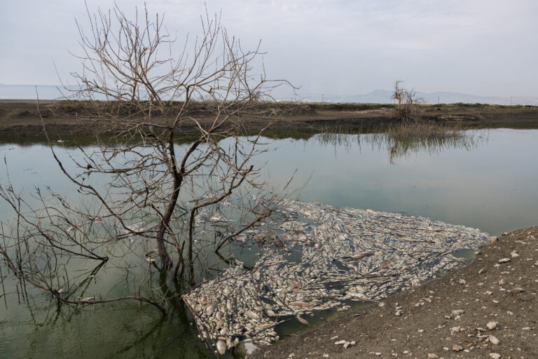 Λίμνη Κάρλα: Η αποξήρανση της λίμνης και το νέο τοπίο από τα πλημμυρικά φαινόμενα